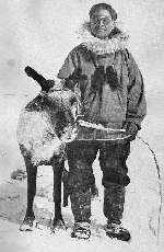 Longest Reindeer Herder