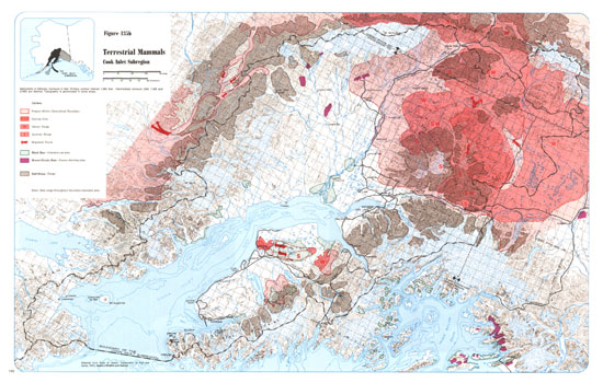 Cook Inlet Subregion