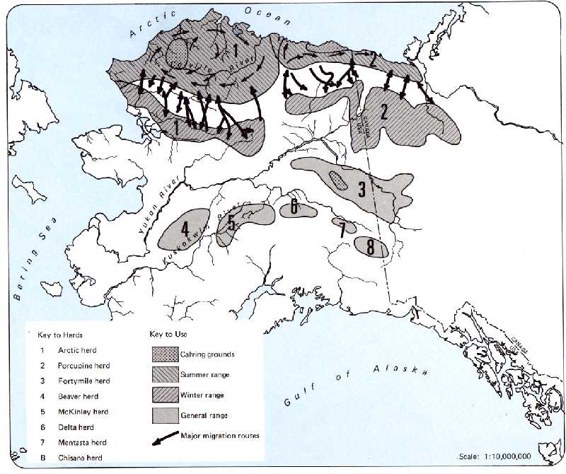 Map of caribou herds that use the Yukon region